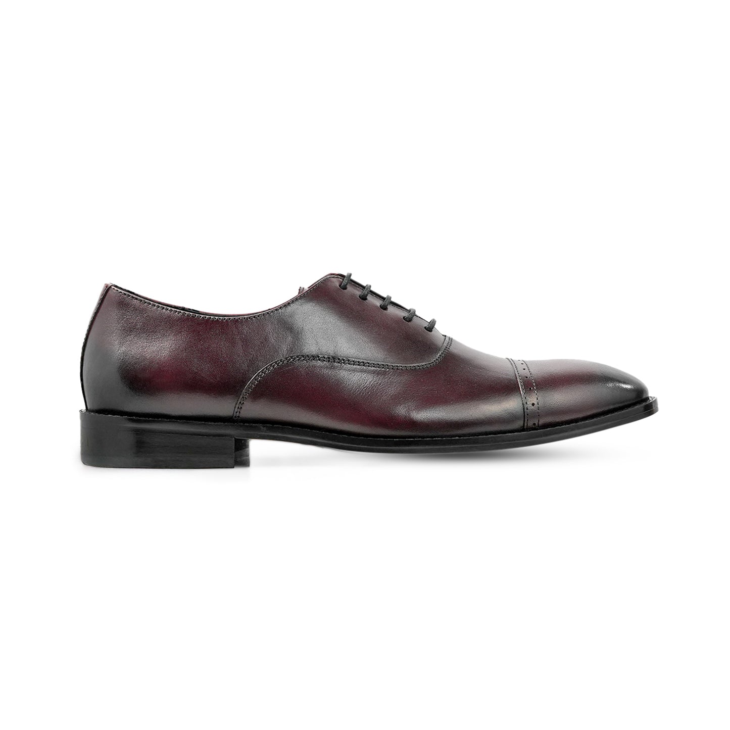 Marino Crest Oxford - Burgundy