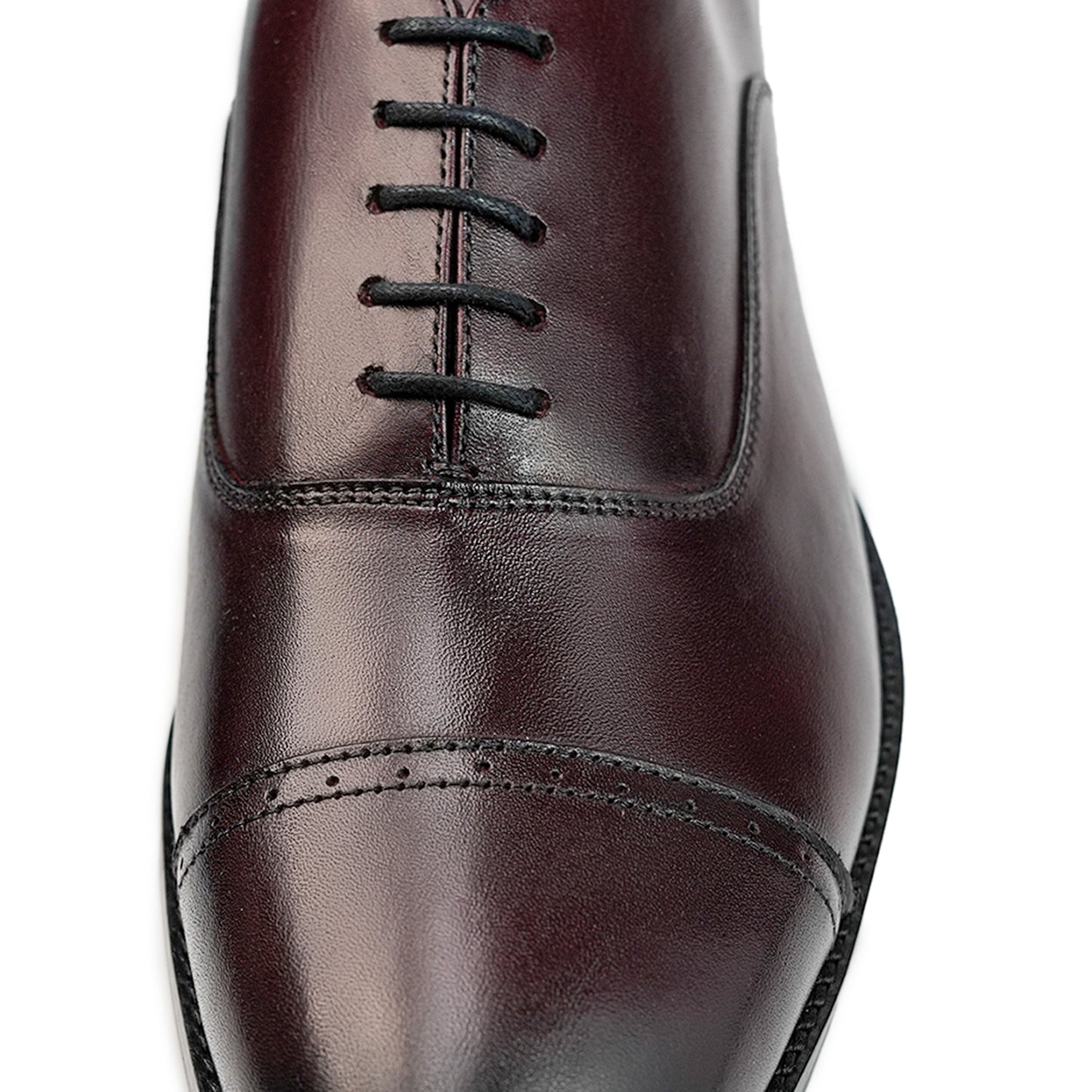 Marino Crest Oxford - Burgundy